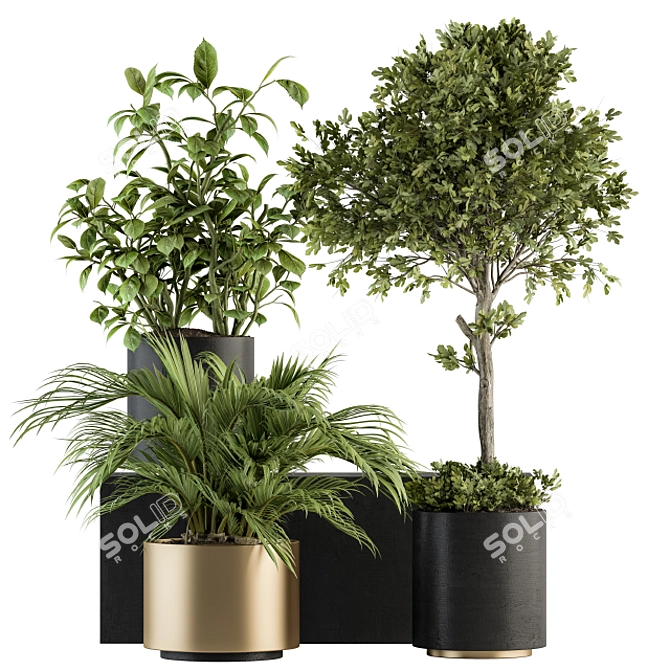 Green Oasis Indoor Plant Set 3D model image 1