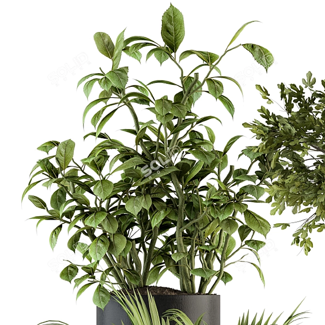 Green Oasis Indoor Plant Set 3D model image 3