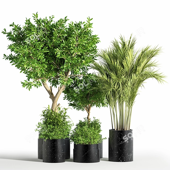 Green Oasis Indoor Plant Set 3D model image 1