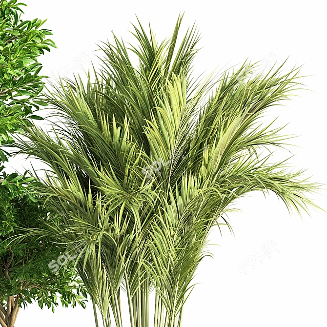 Green Oasis Indoor Plant Set 3D model image 3