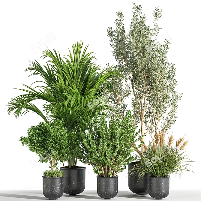 Green Oasis Indoor Plant Set 3D model image 1