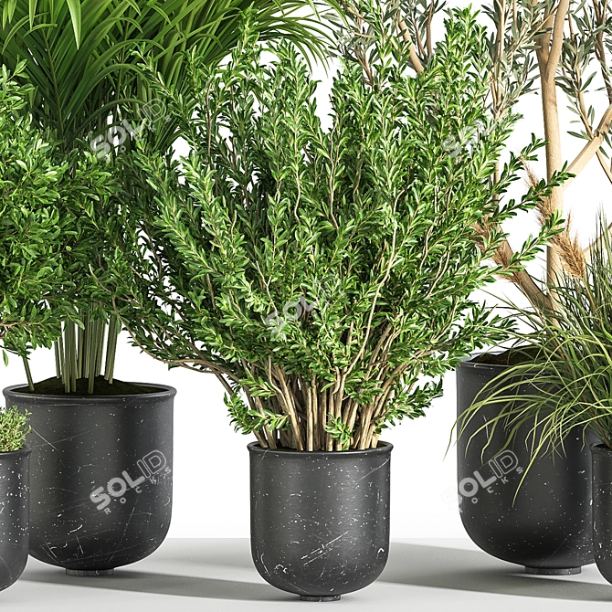 Green Oasis Indoor Plant Set 3D model image 4