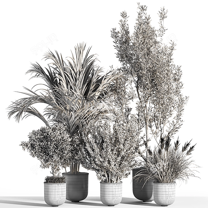 Green Oasis Indoor Plant Set 3D model image 7