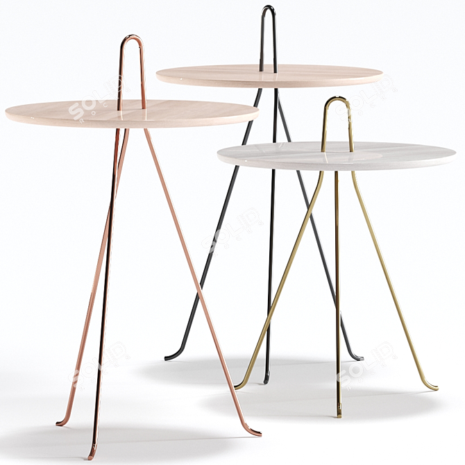 Sleek Oak Table: Tipi by Objekto 3D model image 1