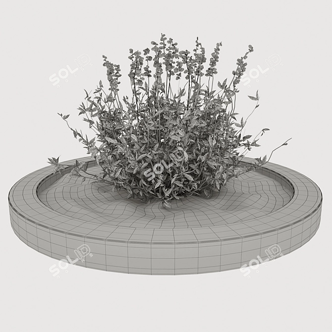 Outdoor Oasis Plant 3D model image 2