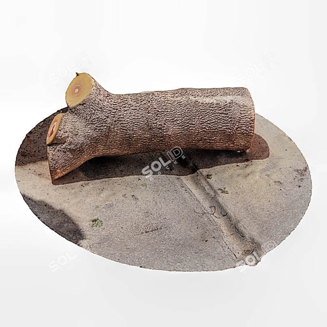 Rustic Tree Trunk Decor 3D model image 1