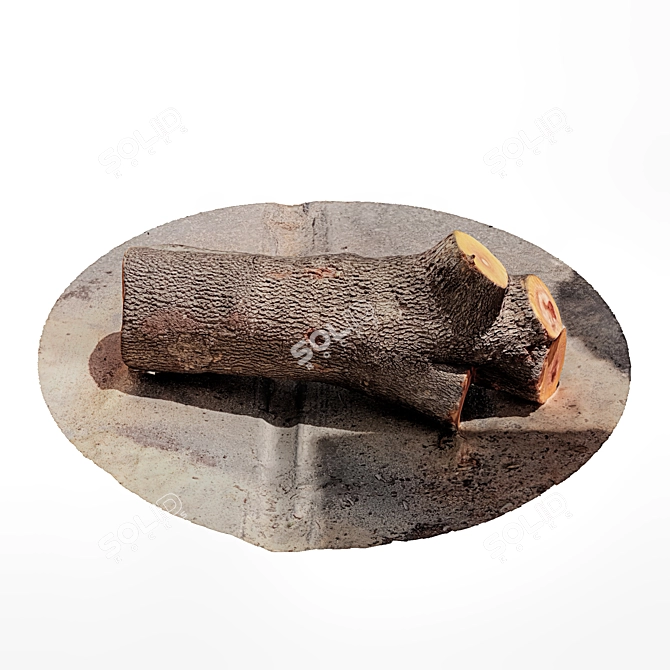 Rustic Tree Trunk Decor 3D model image 2