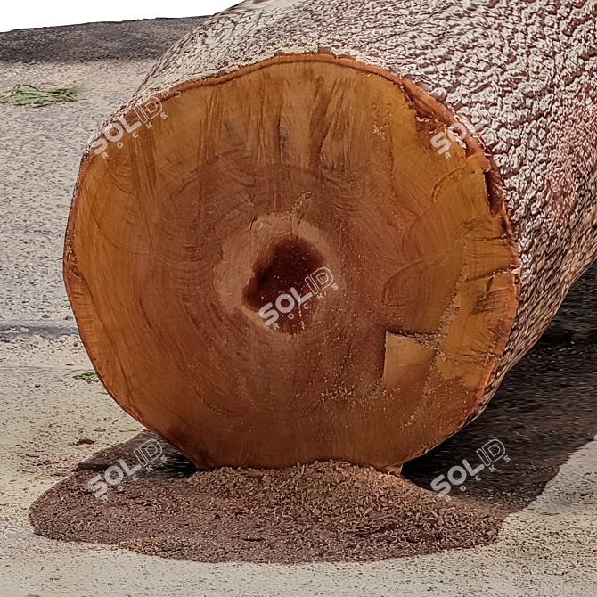 Rustic Tree Trunk Decor 3D model image 5