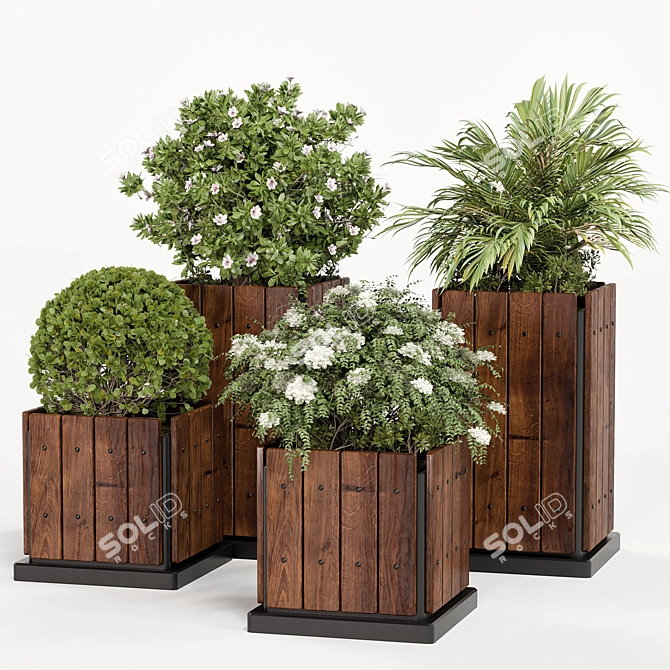 Evergreen Garden Palm Set 04 3D model image 1