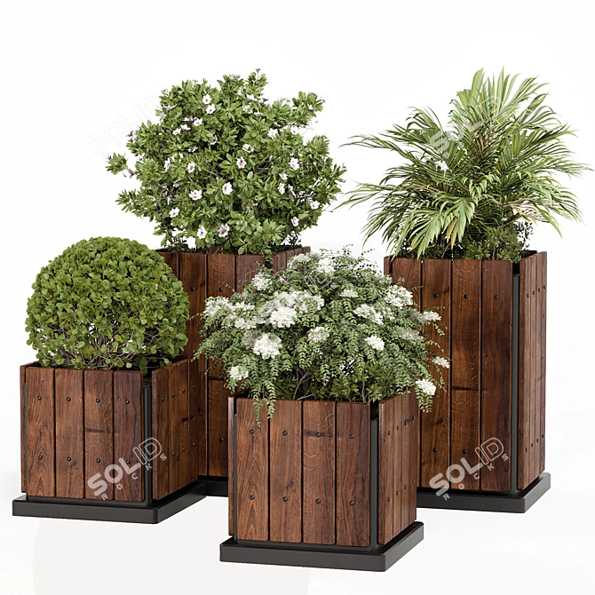 Evergreen Garden Palm Set 04 3D model image 4