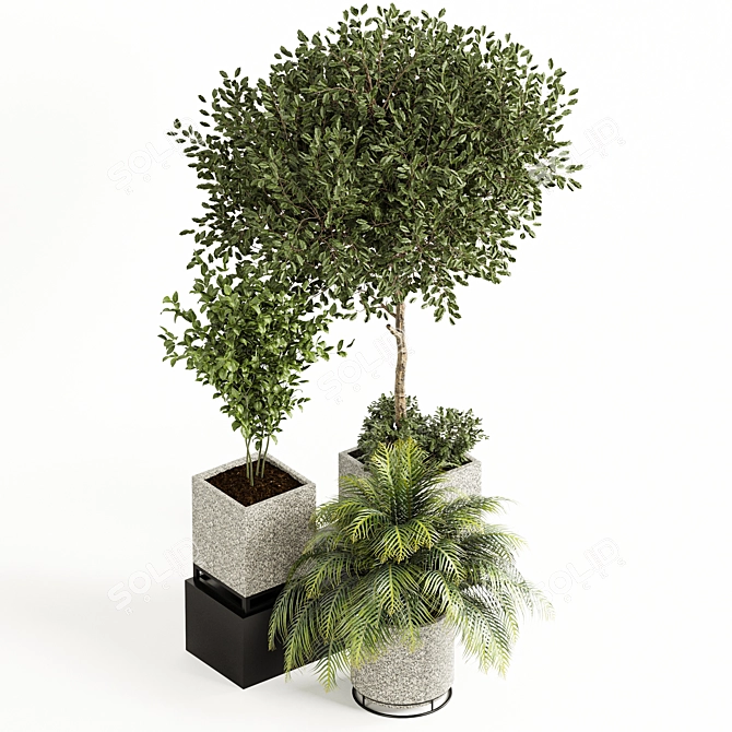 Lush Green Plant Collection 3D model image 4