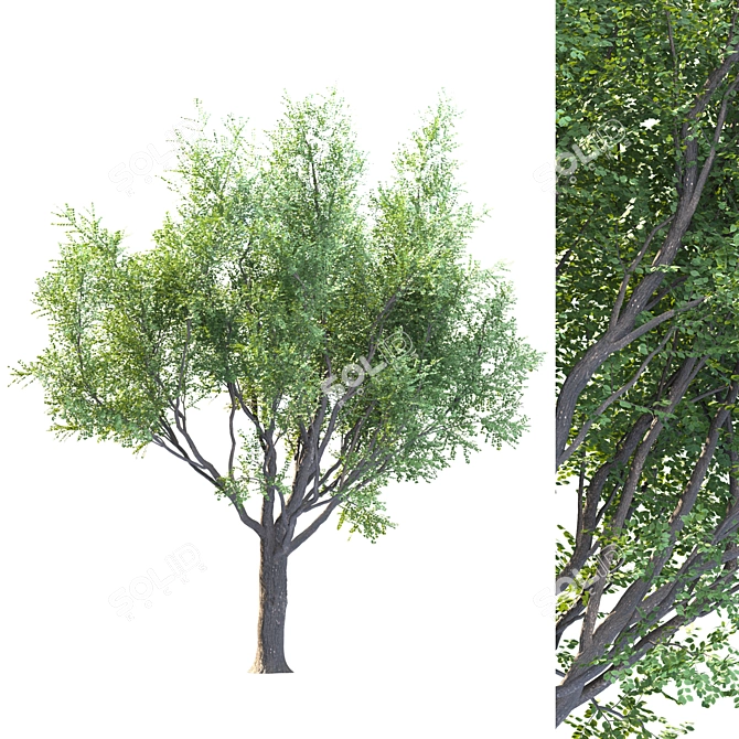 EcoTech Tree: Stunning Landscape Focal Point 3D model image 1