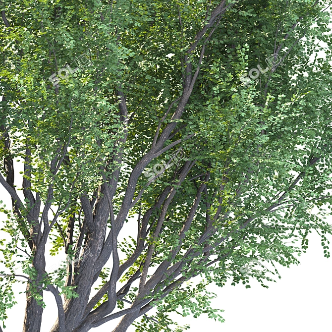 EcoTech Tree: Stunning Landscape Focal Point 3D model image 2