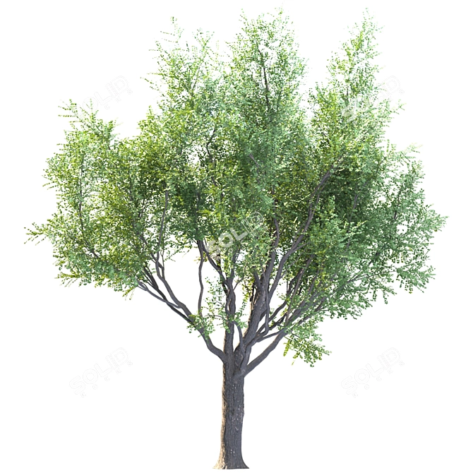 EcoTech Tree: Stunning Landscape Focal Point 3D model image 4