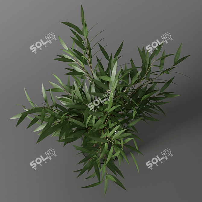 Elegant 16" Decorative Vase 3D model image 3