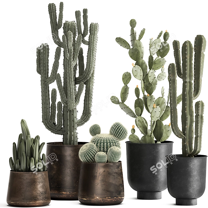 Exotic Cactus Collection in Stylish Metal Pots 3D model image 1