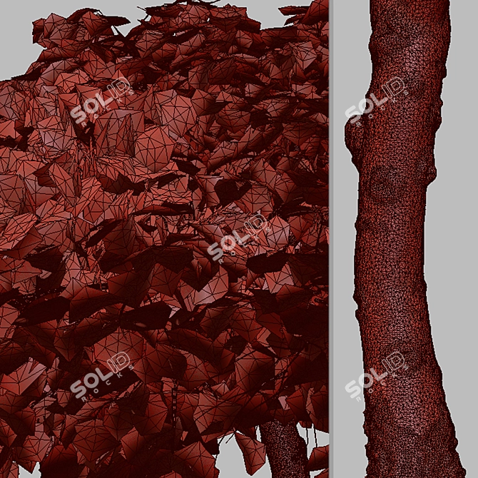 Sweetgum Tree Set: 2 Majestic Liquidambar styraciflua Trees 3D model image 5