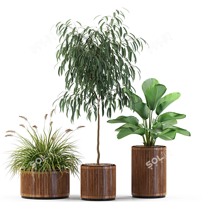 Botanical Bliss: 542 Green Marvels 3D model image 3