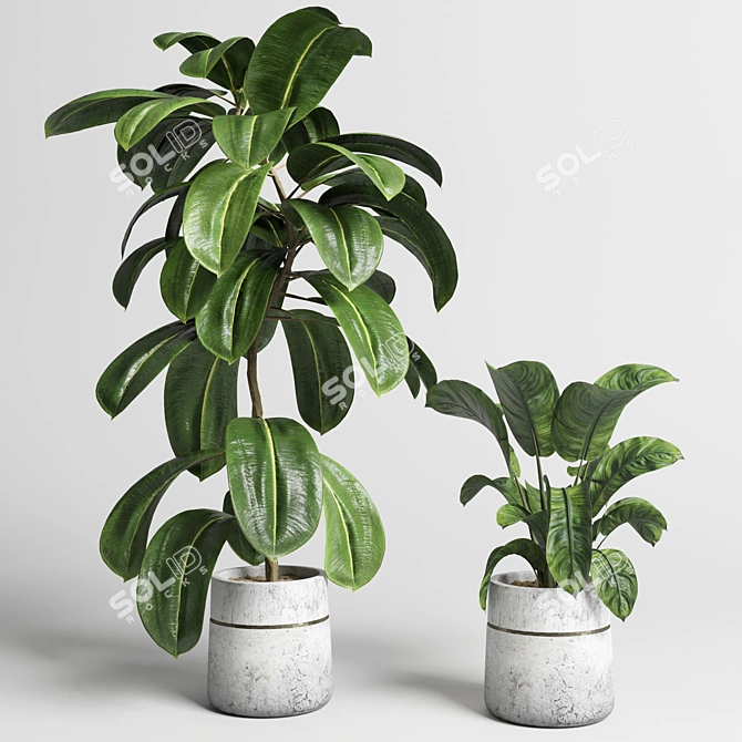 Handmade Concrete Vase Indoor Plant 3D model image 2