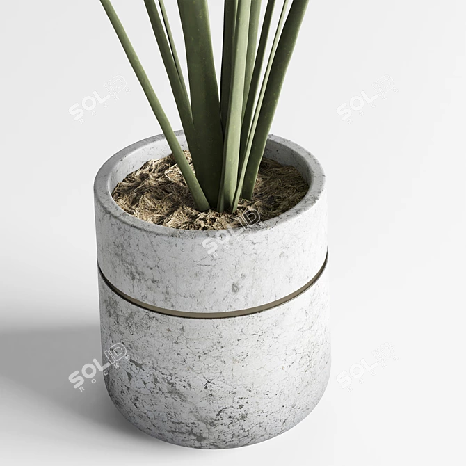 Handmade Concrete Vase Indoor Plant 3D model image 4