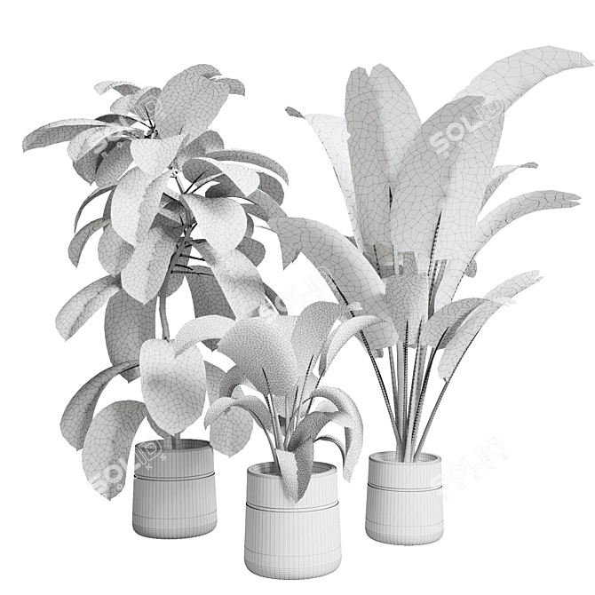 Handmade Concrete Vase Indoor Plant 3D model image 5