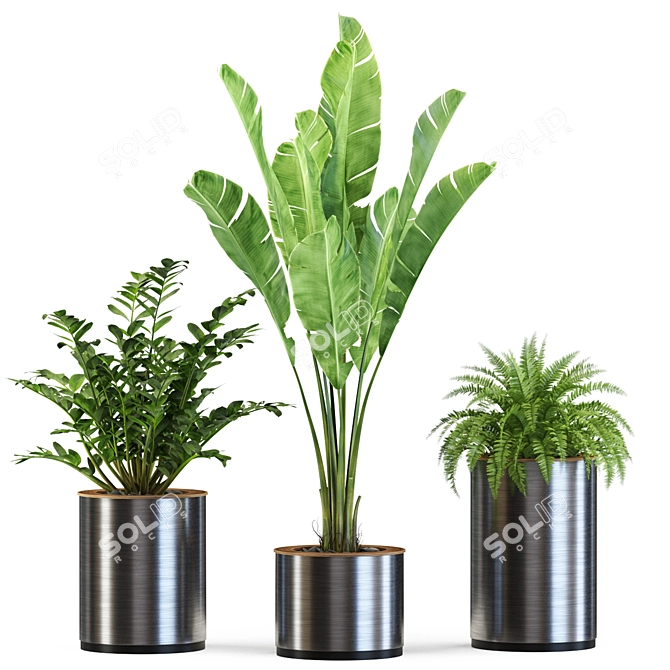 Lush Greenery Assortment 543 3D model image 2