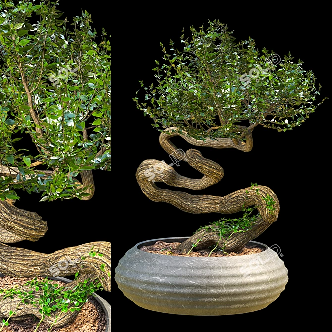 Serene Bonsai Sculpture 3D model image 1