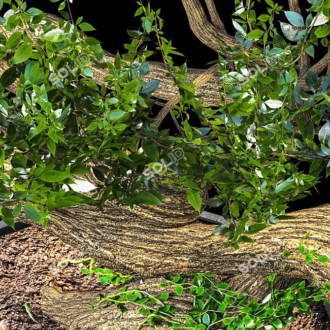 Serene Bonsai Sculpture 3D model image 2