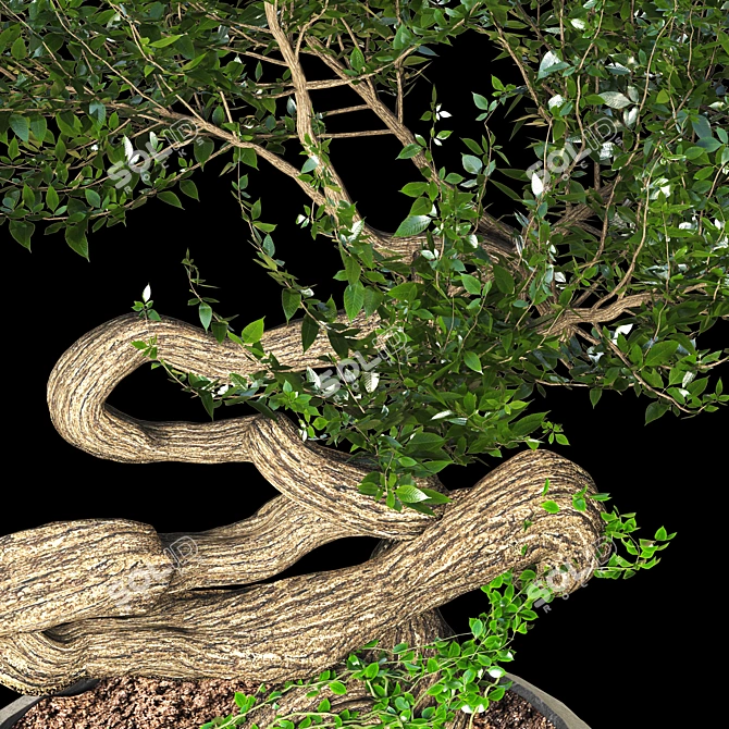 Serene Bonsai Sculpture 3D model image 3