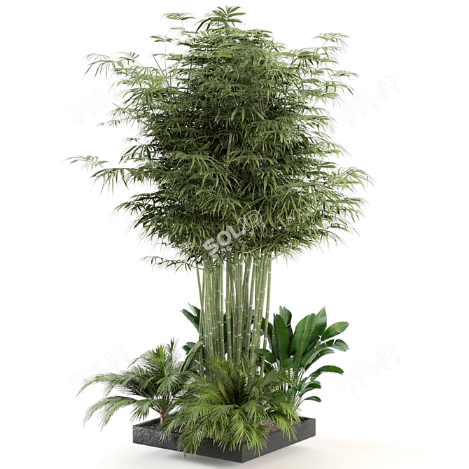 Lush Outdoor Plant Collection 3D model image 2