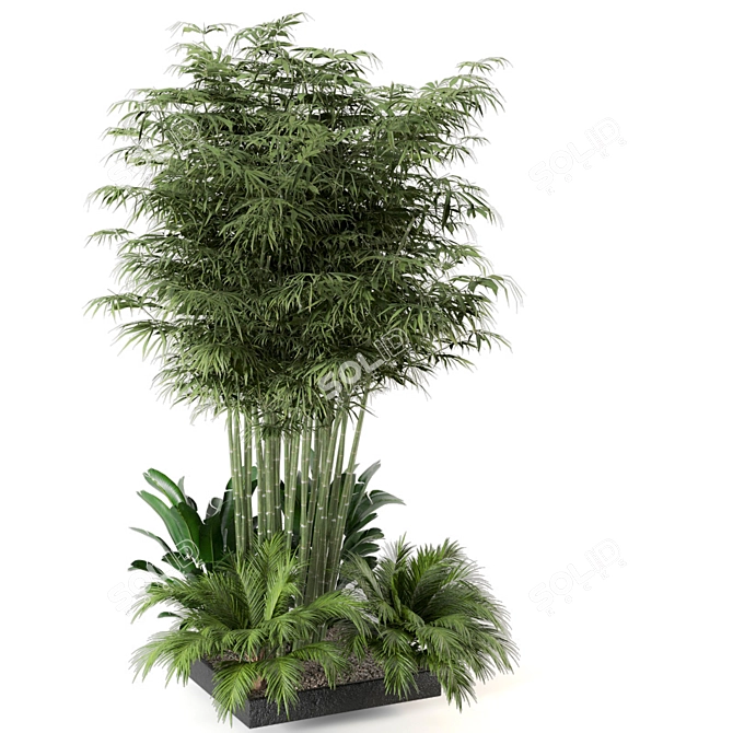 Lush Outdoor Plant Collection 3D model image 3