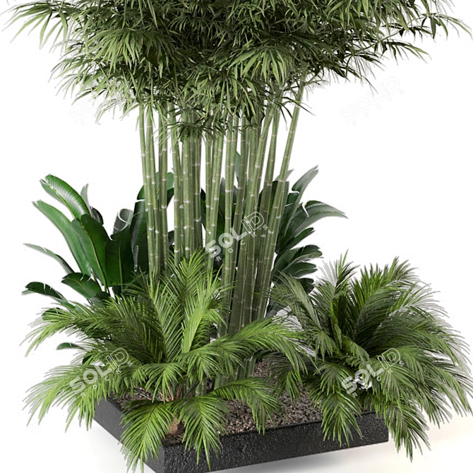 Lush Outdoor Plant Collection 3D model image 6