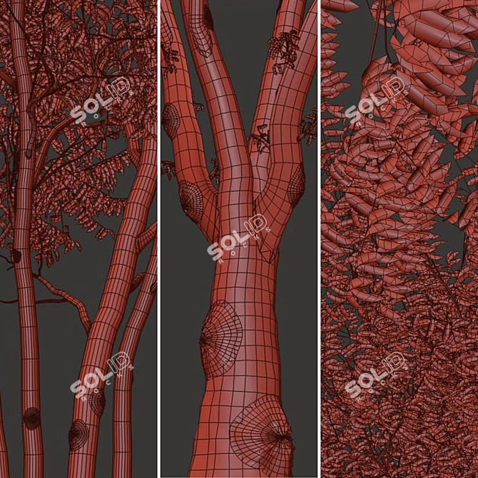 European Nettle Tree Set (2 Trees) 3D model image 5