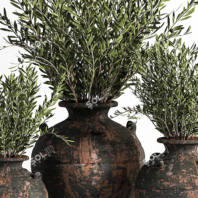 Antique Clay Olive Plant 3D model image 3