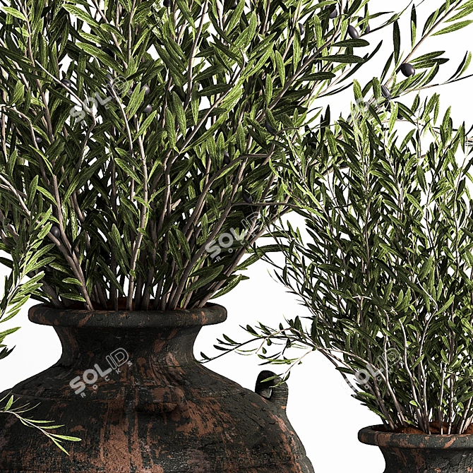 Antique Clay Olive Plant 3D model image 4