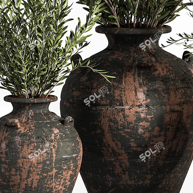 Antique Clay Olive Plant 3D model image 5