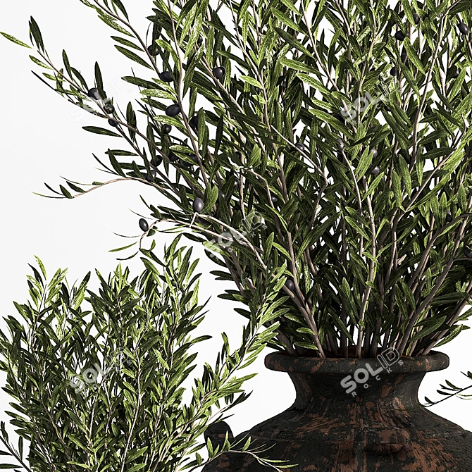 Antique Clay Olive Plant 3D model image 6