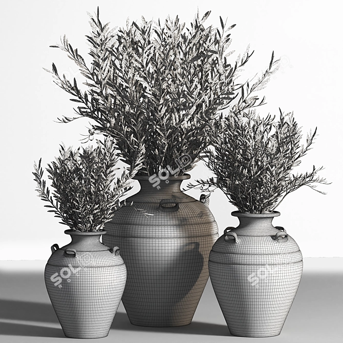 Antique Clay Olive Plant 3D model image 7