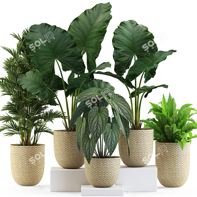 Lush Foliage Variety Pack 3D model image 1