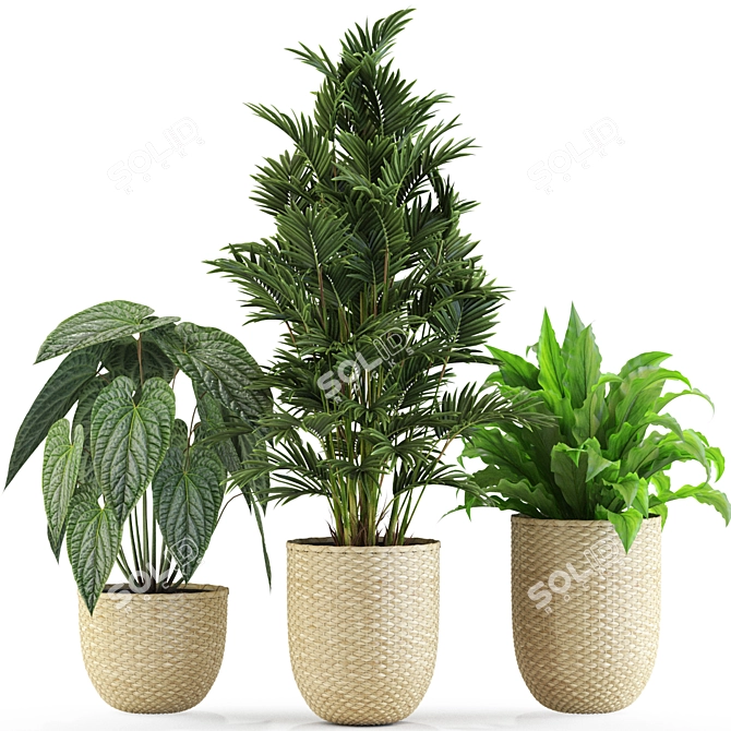 Lush Foliage Variety Pack 3D model image 3