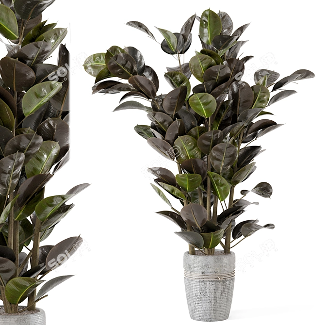 Rustic Concrete Pot Indoor Plant Set 3D model image 2