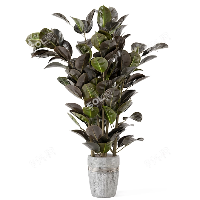 Rustic Concrete Pot Indoor Plant Set 3D model image 5