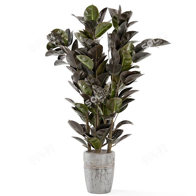 Rustic Concrete Pot Indoor Plant Set 3D model image 6