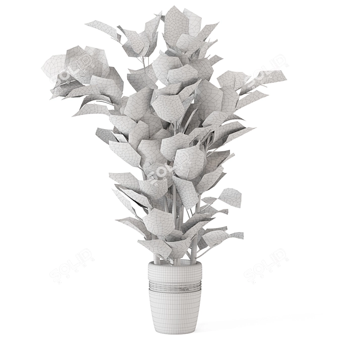 Rustic Concrete Pot Indoor Plant Set 3D model image 7