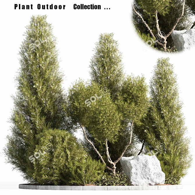 Outdoor Plant Set 2015: Stylish, Durable & Versatile! 3D model image 1