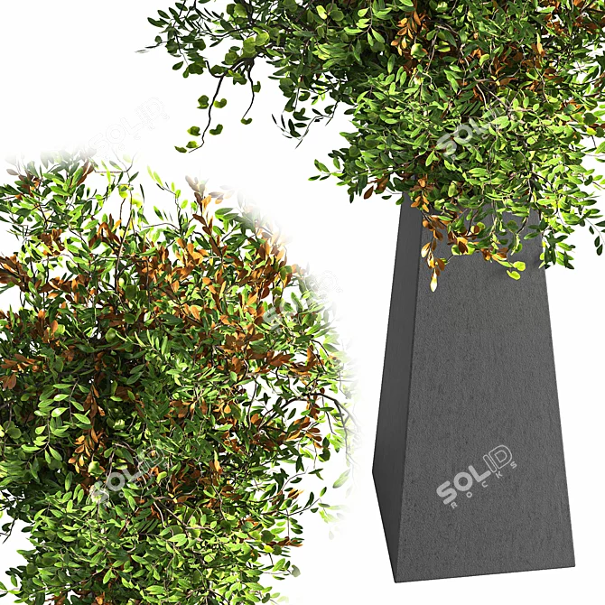 Elegant Gray Branch in Pot 3D model image 3