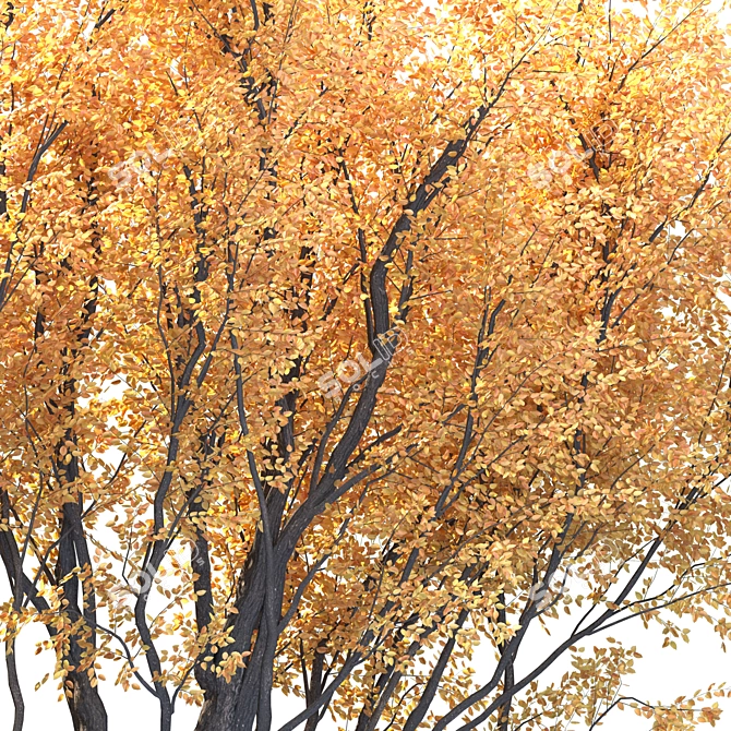 Lush Foliage Tree for Landscapes 3D model image 2