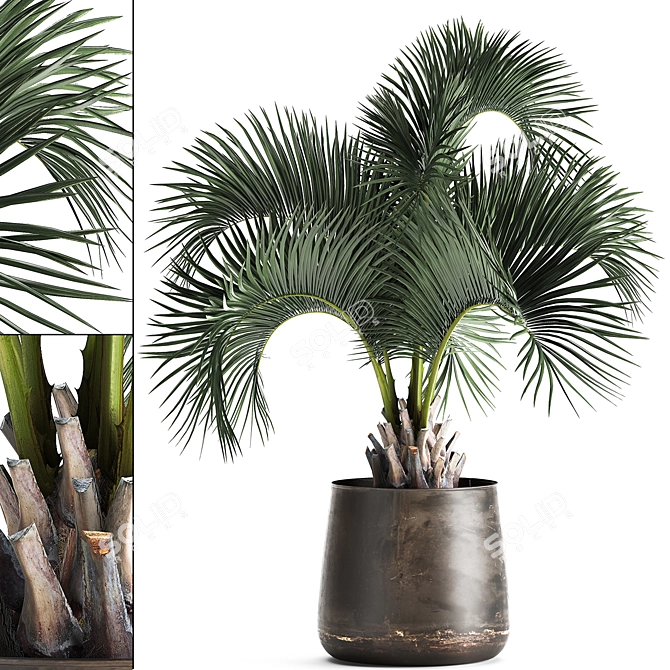 Exotic Metal Pot Plant Collection 3D model image 1