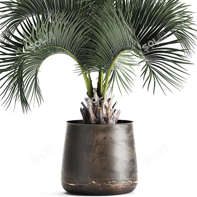 Exotic Metal Pot Plant Collection 3D model image 2