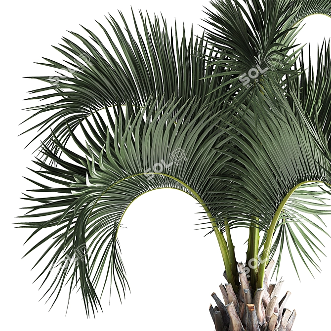 Exotic Metal Pot Plant Collection 3D model image 4